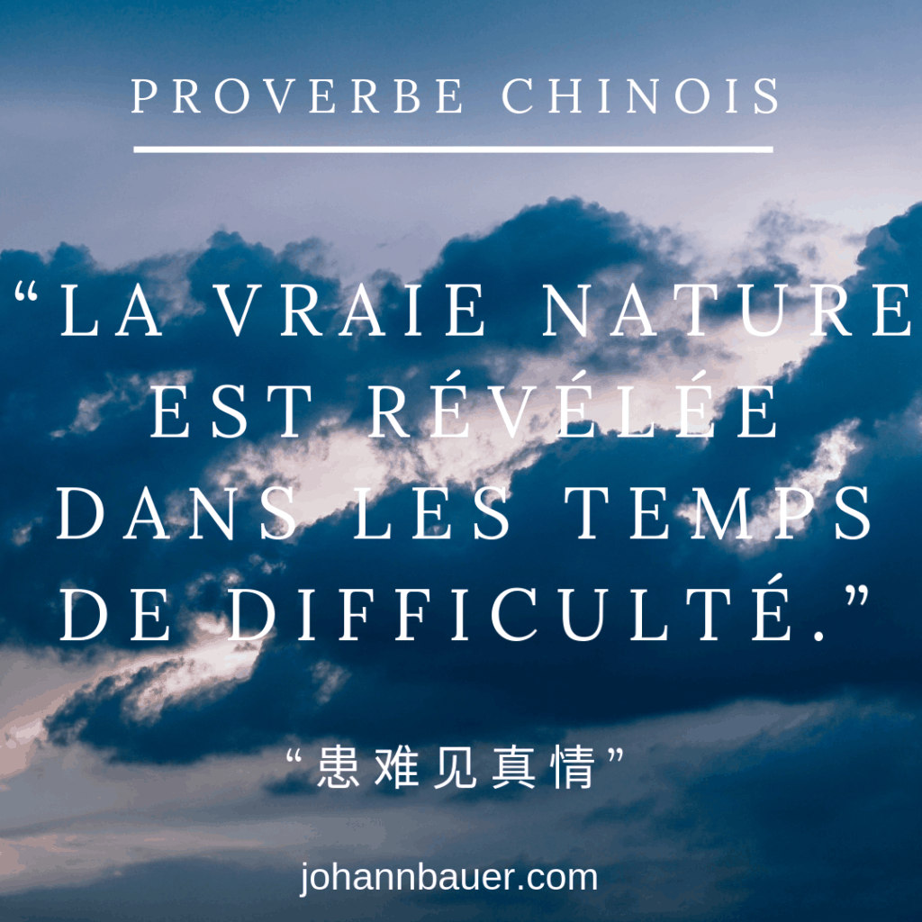 Proverbes Chinois Johann Bauer